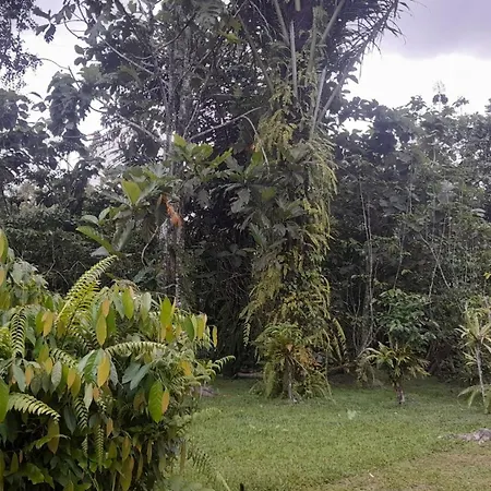 Bali Home Taksu